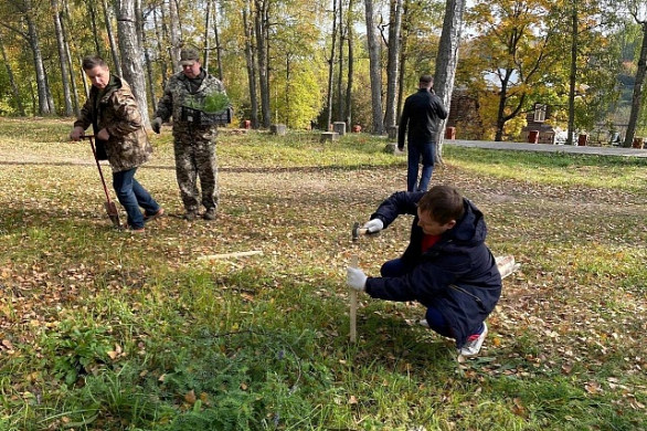50 сеянцев сосны высадили в городском парке в Наволоках